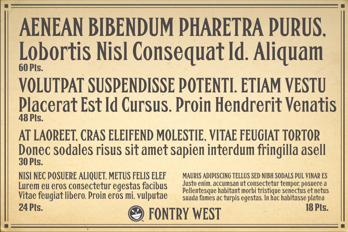 FHA Condensed French: A Vintage Font preview 8