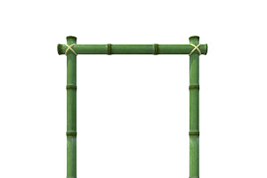 Bamboo Frame