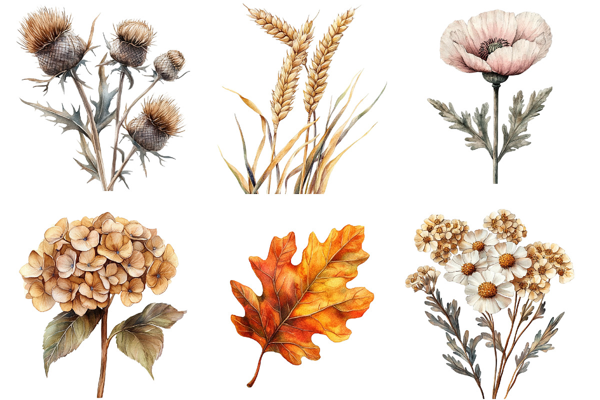 Watercolor Wildflowers Clipart, an Illustration by SinaCreation (Photo 2 of 5)