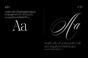 Reichamerina font family, a Serif Font by Ryul Davidson (Thumbnail 14 of 27)