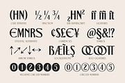 TNSC Gemino - Sans & Serif Typeface, a Serif Font by The Native Saint Club (Thumbnail 9 of 14)