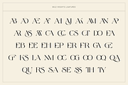 Mile Heights - Elegant Display Serif, a Serif Font by Surplus Type Co (Thumbnail 9 of 10)