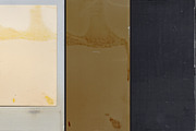 Expired instant film texture pack, a Texture Graphic by The Shop (Thumbnail 8 of 15)