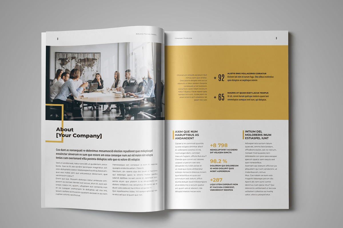 Employee Training Manual Template, a Brochure Template by StockInDesign (Photo 4 of 11)