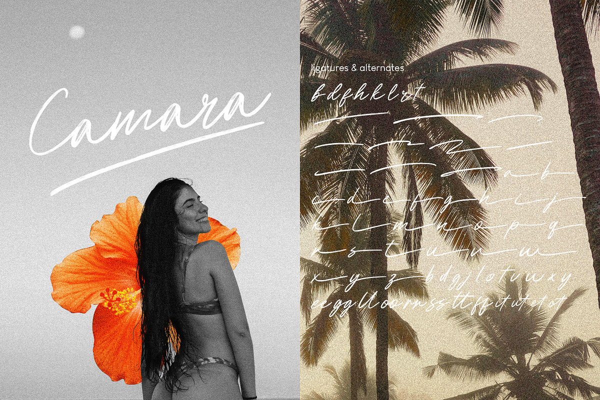Managiri Aesthetic Brush Font, a Script Font by Hishand Studio (Photo 2 of 8)