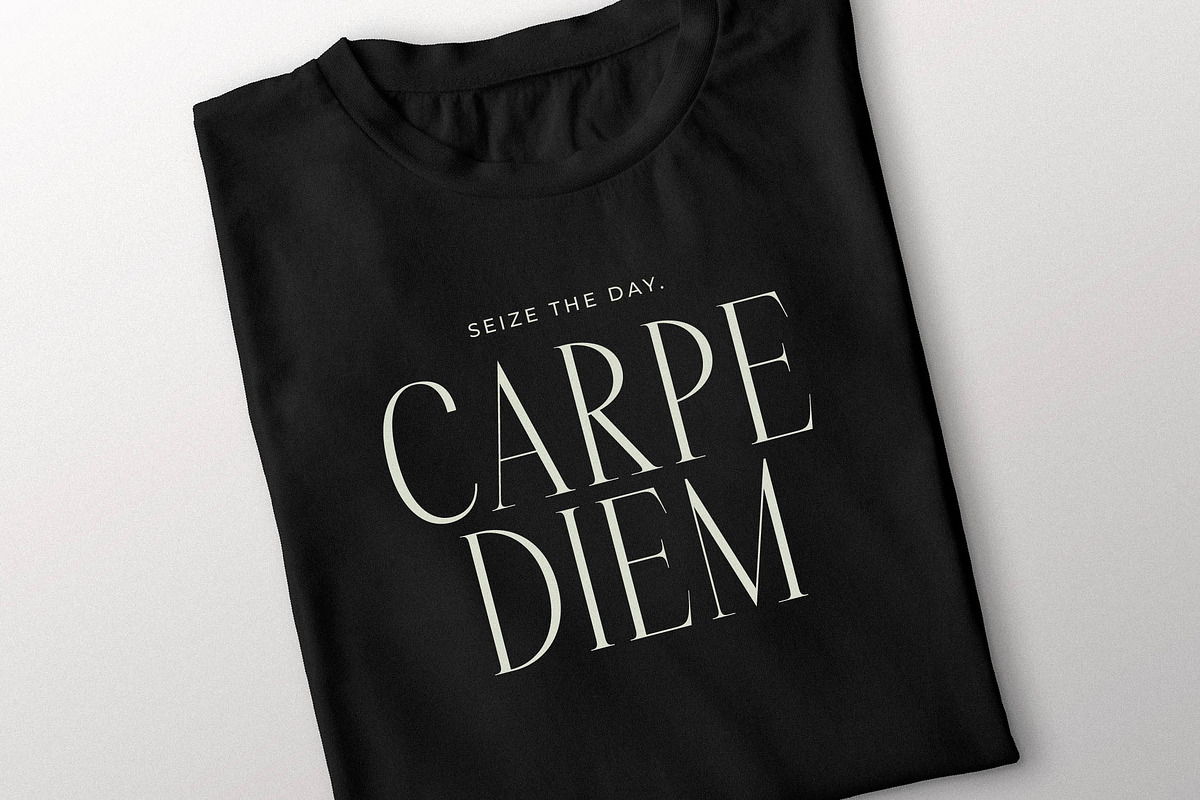 Rastofi Modern Ligature Serif, a Serif Font by Letterena Studios (Photo 11 of 15)