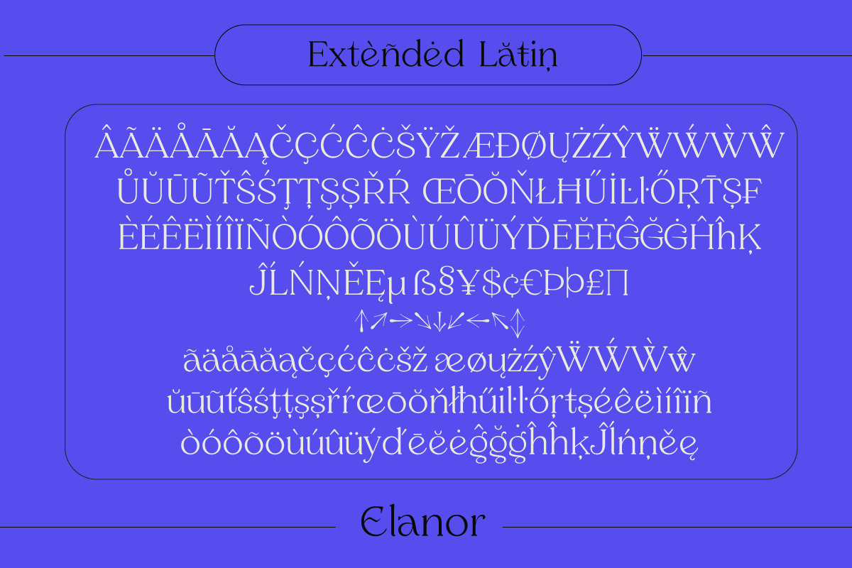 Elanor - Retro Font Classy Elegant, a Serif Font by Dirtyline Studio (Photo 13 of 17)