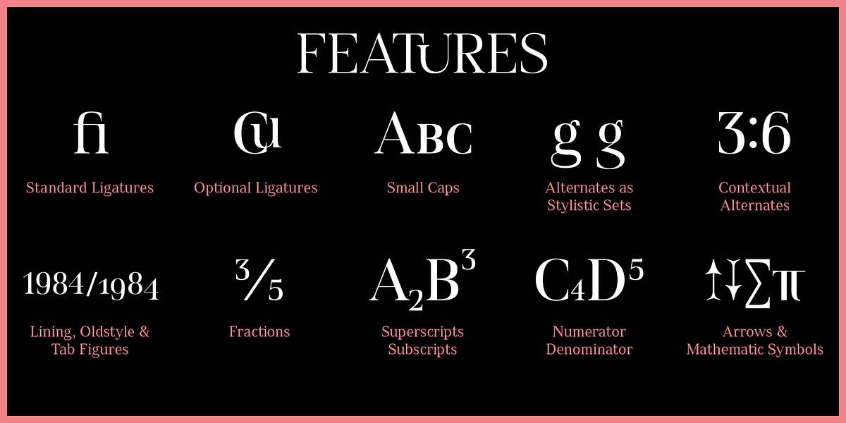 Spitzkant, a Serif Font by Julien Fincker (Photo 10 of 10)