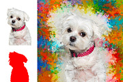 Puppy Photo to Painting Effect, an Action Add-On by MRI STUDIO (Thumbnail 5 of 15)