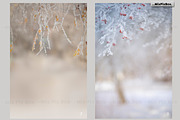 Winter Portrait Backgrounds, a Background Graphic by MixPixBox (Thumbnail 5 of 6)