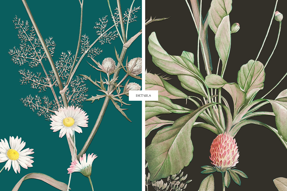 Meadow Bounty Botanical Prints, a Pattern Graphic by LEAFure (Photo 7 of 8)