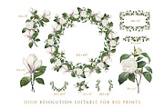 White Floral Clipart, Wreath, Frames, an Illustration by Secret Helper (Thumbnail 7 of 9)