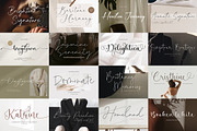 Elegant Script Font Bundle, a Script Font by Timurtype (Thumbnail 9 of 10)