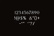 Distrampler Luxury Serif Font, a Serif Font by UICreative (Thumbnail 7 of 13)