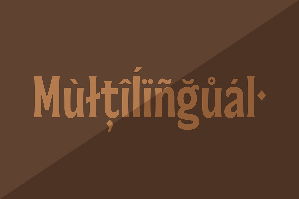 Bradia, a Serif Font by Locomotype (Photo 12 of 12)