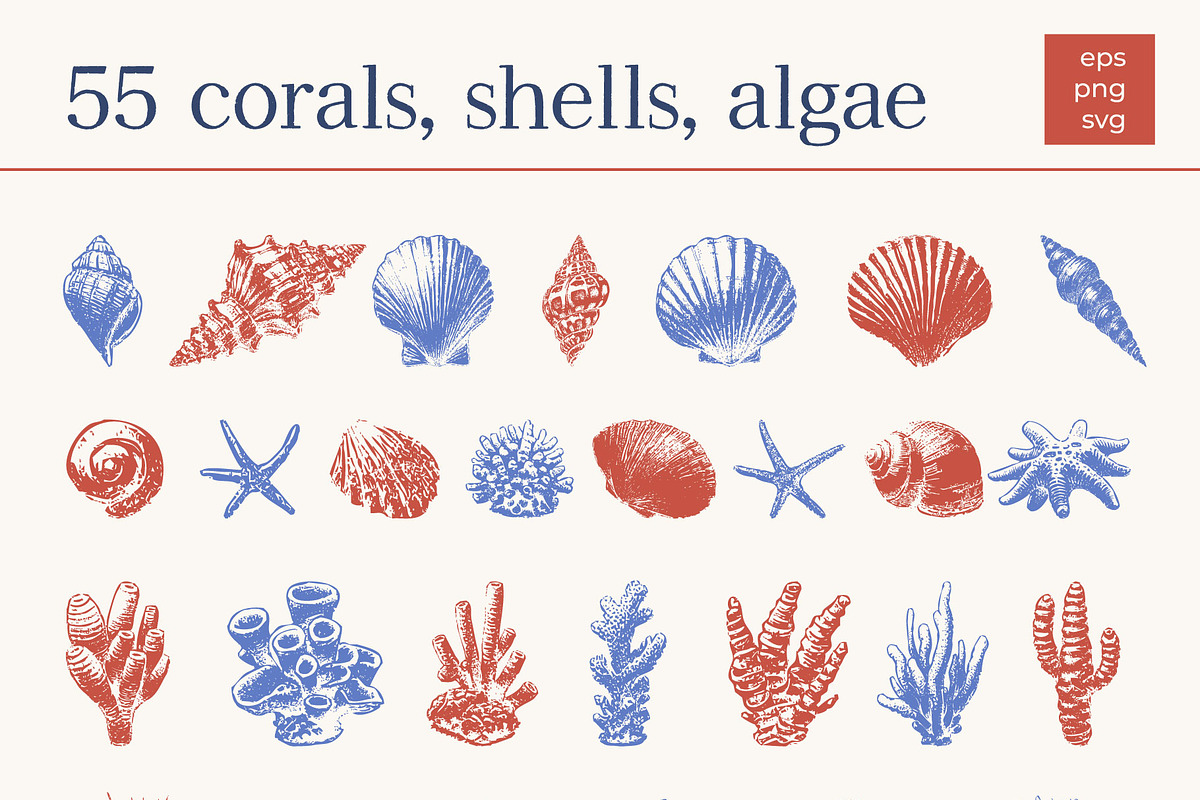 Undersea World - vector &png, an Animal Illustration by Anatartan Design (Photo 4 of 13)