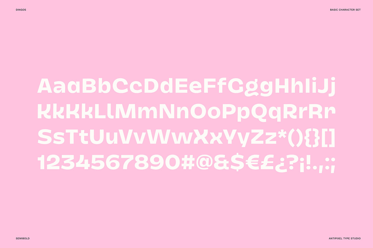 Dingos | Compact Chunky Display Sans, a Sans Serif Font by Antipixel Type Studio (Photo 3 of 16)