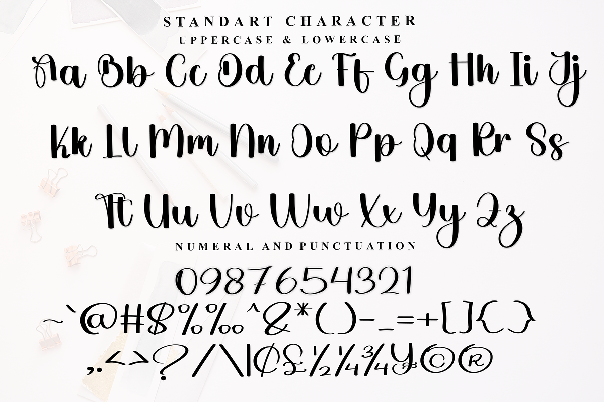 Stylish Vintage, a Handwritten Font by FreshTypeINK (Photo 8 of 8)