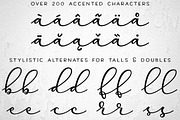 Virga - connecting script font, a Script Font by Missy Meyer (Thumbnail 8 of 9)