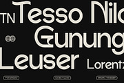 DV Emore, a Sans Serif Font by Damelev (Thumbnail 9 of 13)