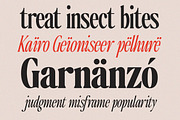 The Qualified Family (54 Fonts), a Serif Font by Positive TypeFoundry (Thumbnail 10 of 15)