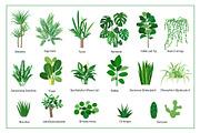 Home plants in cozy interiors, an Illustration by Elena Istomina (Thumbnail 3 of 10)