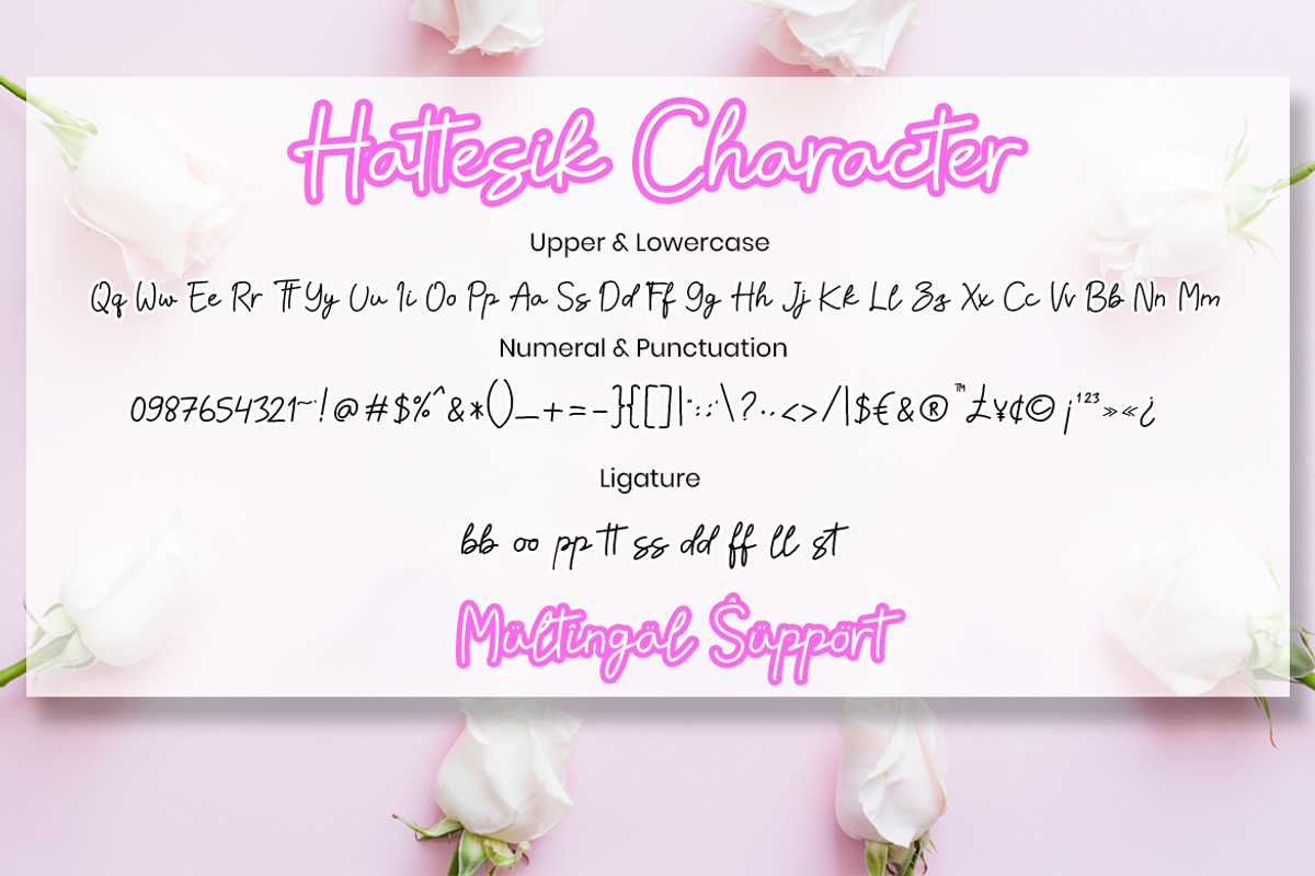 Hattesik Script Monoline Font, a Script Font by MC Creative (Photo 6 of 7)