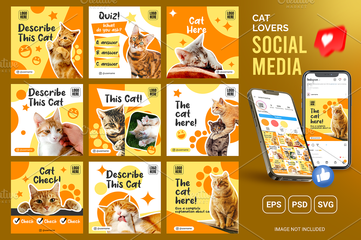 Cat post social media feed design