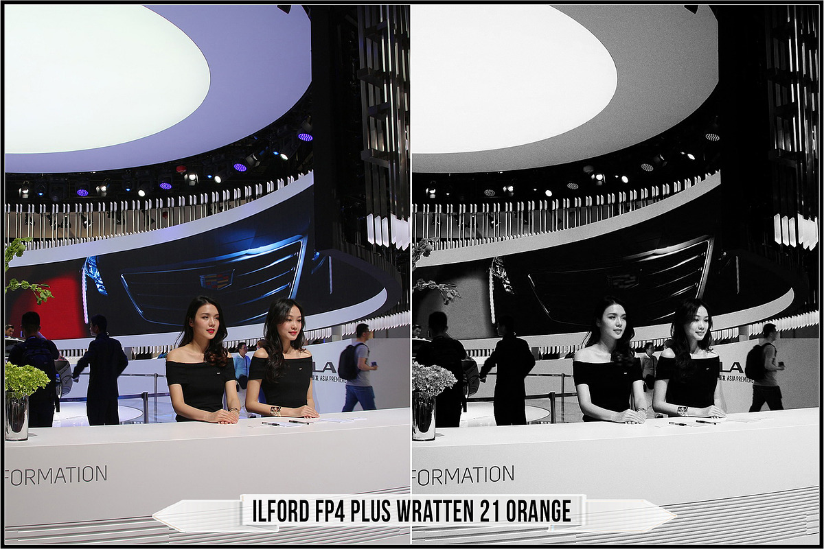 Ilford Films LUTs, a Plug-in Add-On by Raztrend (Photo 7 of 30)