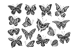 Black Butterflies. Drawing Butterfly