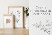 Birds of Africa Illustrations, a Decorative Illustration by CL Creative Studio (Thumbnail 8 of 14)