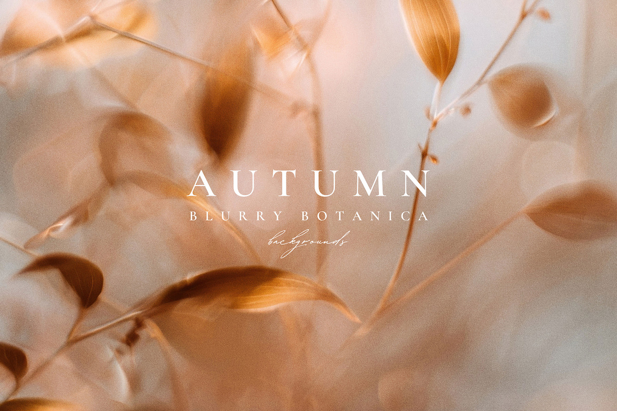 Autumn Blurry Floral Backgrounds, a Background Graphic by Altea Design Studio (Photo 6 of 15)