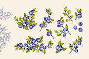 Berries, a Food Illustration by Jeanna Draw (Thumbnail 4 of 12)