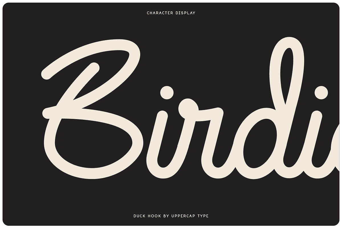 Duck Hook - Script & Sans Font Duo, a Script Font by UppercapType (Photo 3 of 11)