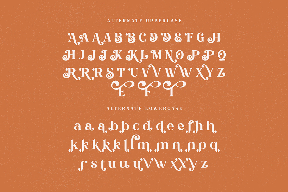 Bogimber - Retro Display Serif, a Serif Font by Cruzine (Photo 5 of 10)