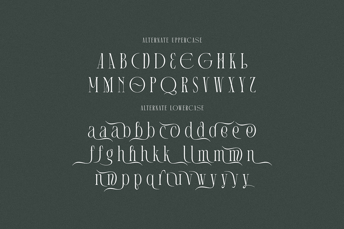 Martin Langley Elegant Serif, a Serif Font by Cruzine (Photo 6 of 8)
