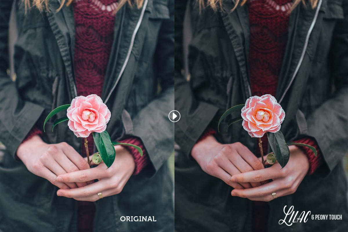 Lilac - 64 Presets for LR & ACR preview 6