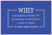 Wiley Decorative Latin & Greek Font, a Slab Serif Font by Molly Suber Thorpe (Thumbnail 16 of 16)