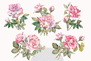 Watercolor Garden Rose Clipart, a Decorative Illustration by Jeanna Draw (Thumbnail 3 of 11)