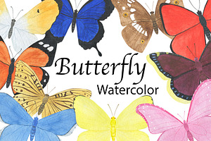 Butterfly Watercolor