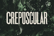 Aurochs: letterpress type family, a Sans Serif Font by Polymath (Thumbnail 10 of 12)