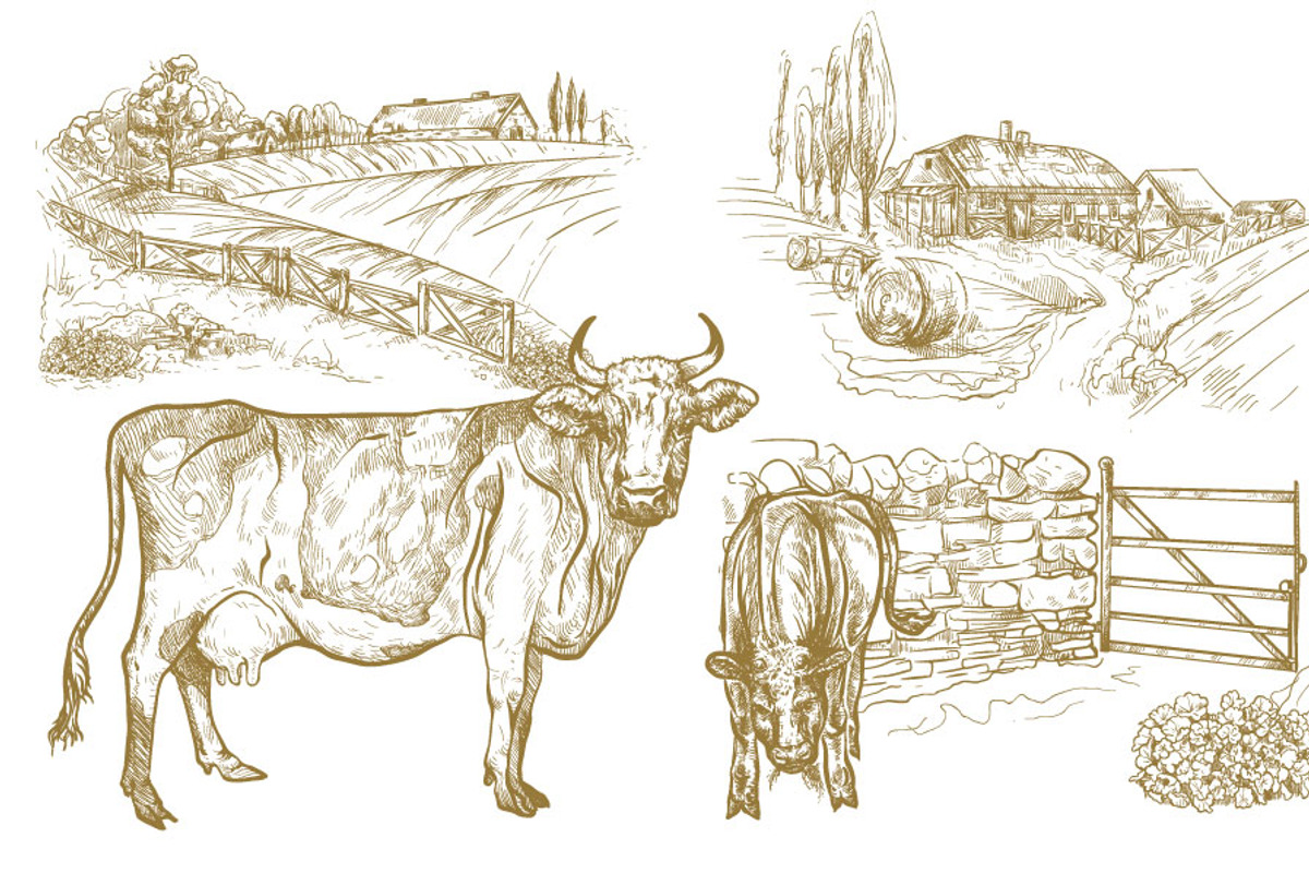 Cows with calves on the farm., an Animal Illustration by ArtOwl (Photo 2 of 3)