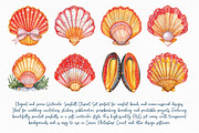 Watercolor Seashell Clipart Set, an Illustration by Libby Wishes (Thumbnail 2 of 7)