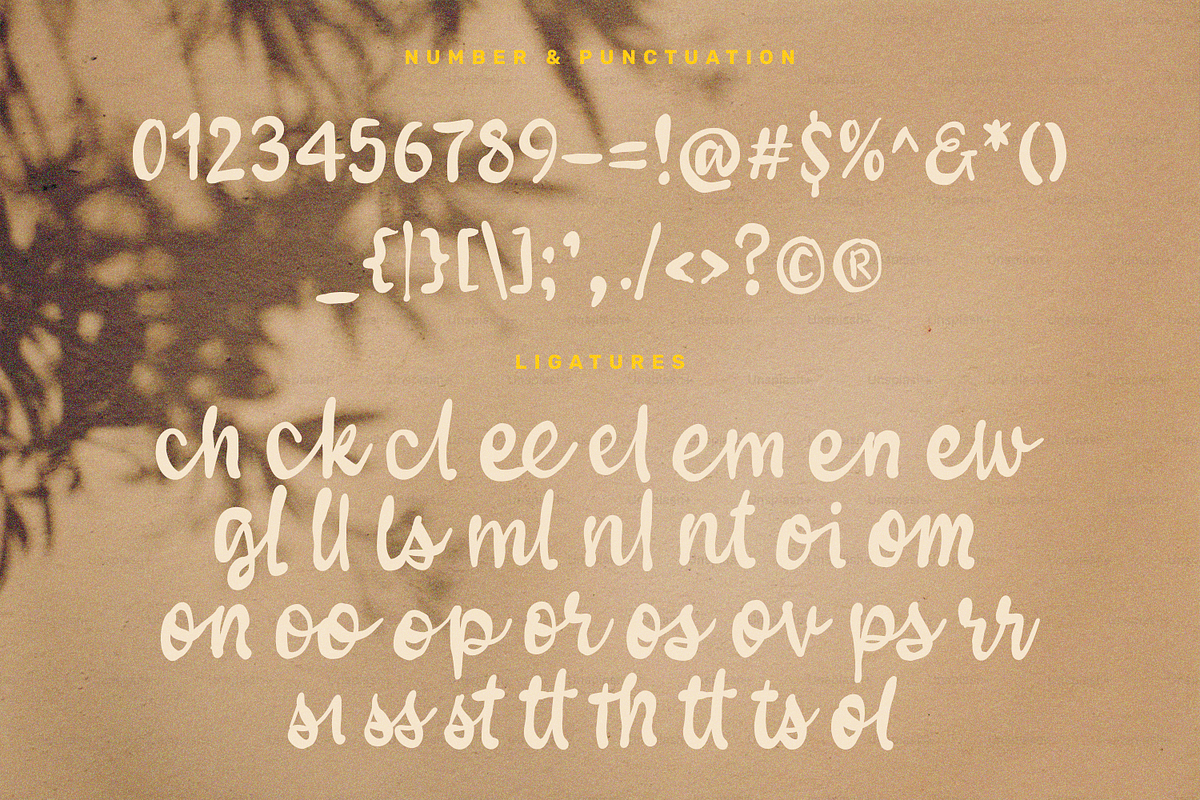 Wostlleey Natural Handwritten, a Handwritten Font by Portocraft (Photo 9 of 10)