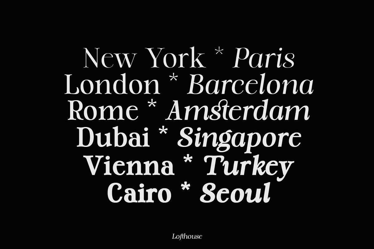 DS Quilter - Variable Luxury Serif, a Serif Font by dealitastudio (Photo 2 of 15)