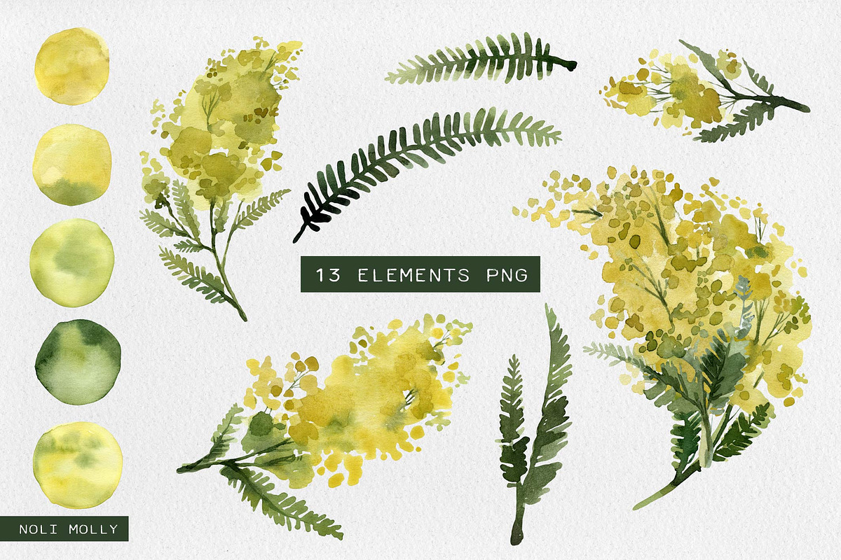 Mimosa. Yellow watercolor flowers., an Illustration by Noli Molly Store (Photo 2 of 6)