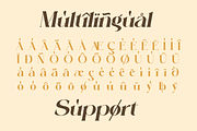 A Luxury Swash Serif - Anthela, a Serif Font by Qweera Studio (Thumbnail 12 of 12)