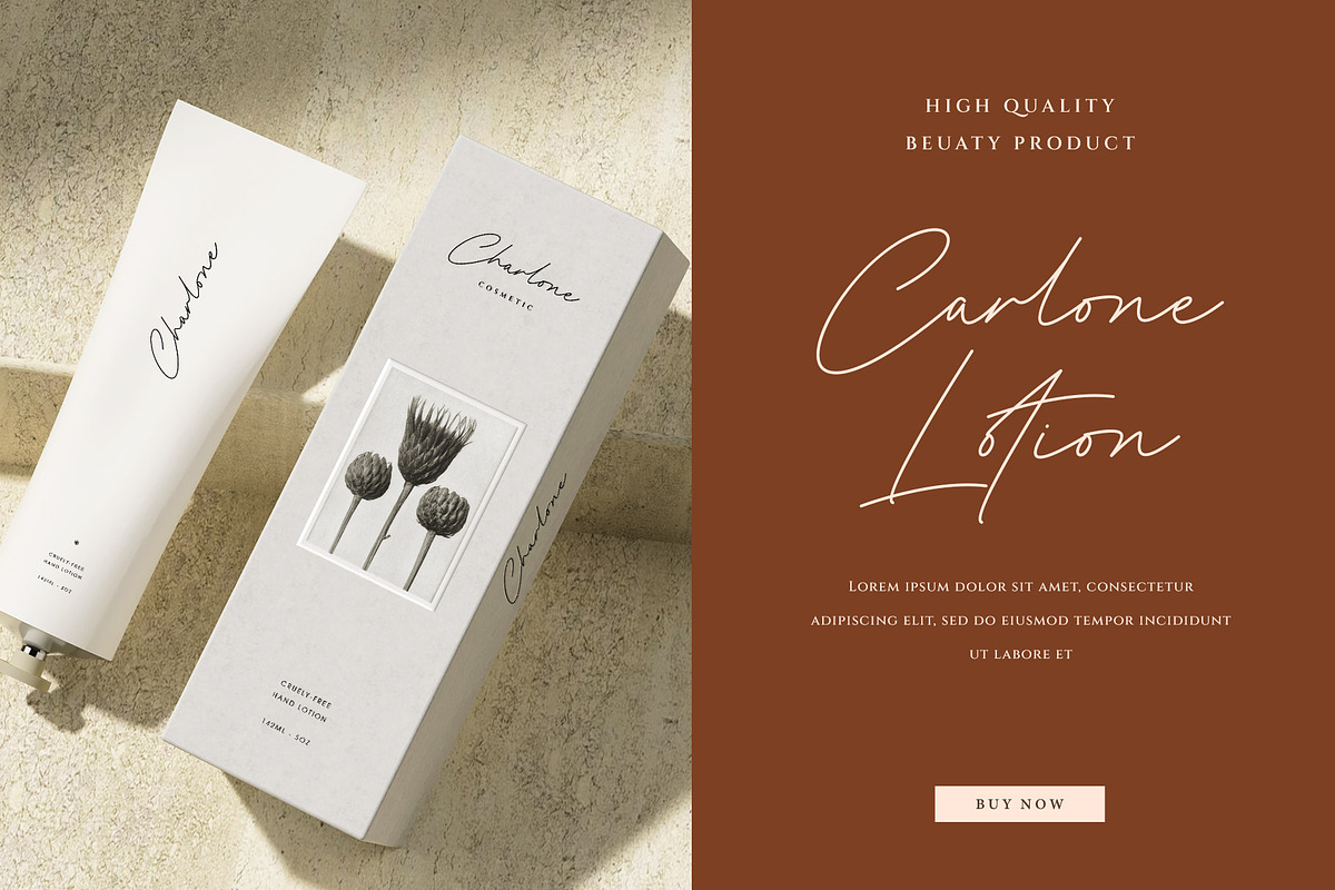 Argine Signature Font, a Handwritten Font by RantautypeStudio (Photo 3 of 15)