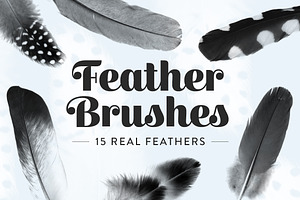 Feather Photoshop brushes