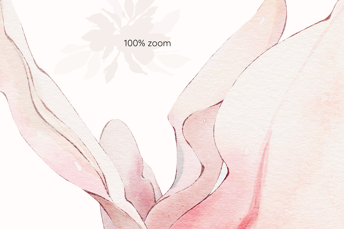 Magnolia watercolor floral set, a Decorative Illustration by Yuliia Lashevska (Photo 10 of 13)
